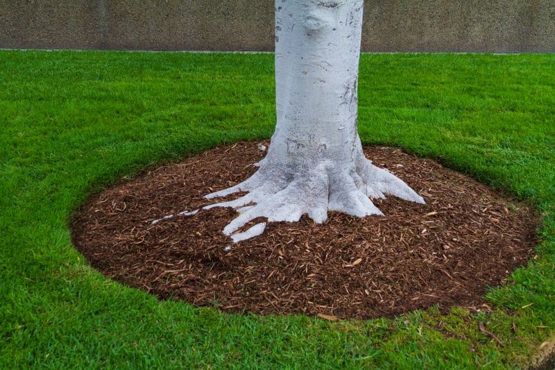 Black Mulch Installation in Honolulu, HI