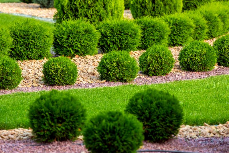 Bush Installation in Honolulu, HI