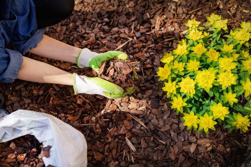 Mulched Leaf Bed