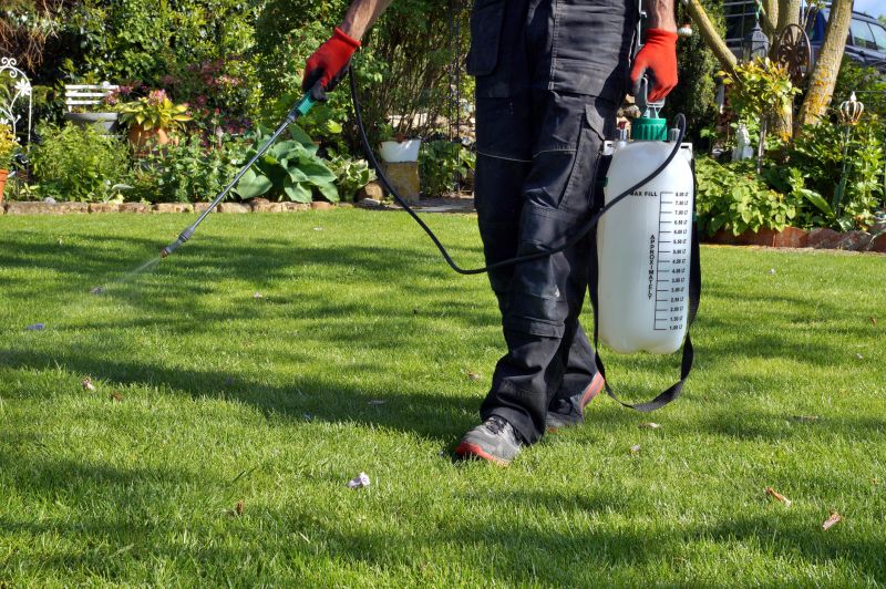 Lawn Care Experts
