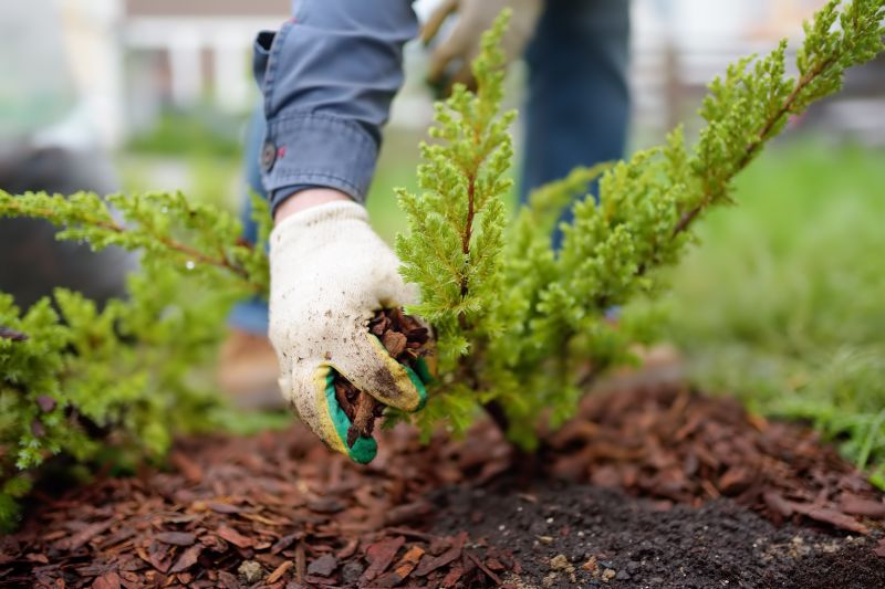 Leaf Mulching Benefits