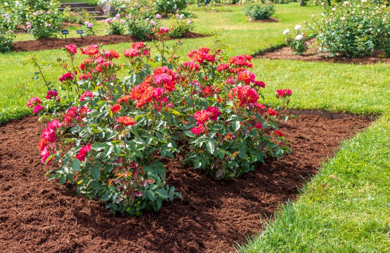 Flower Bed Cleanup Service in Ventura County, CA