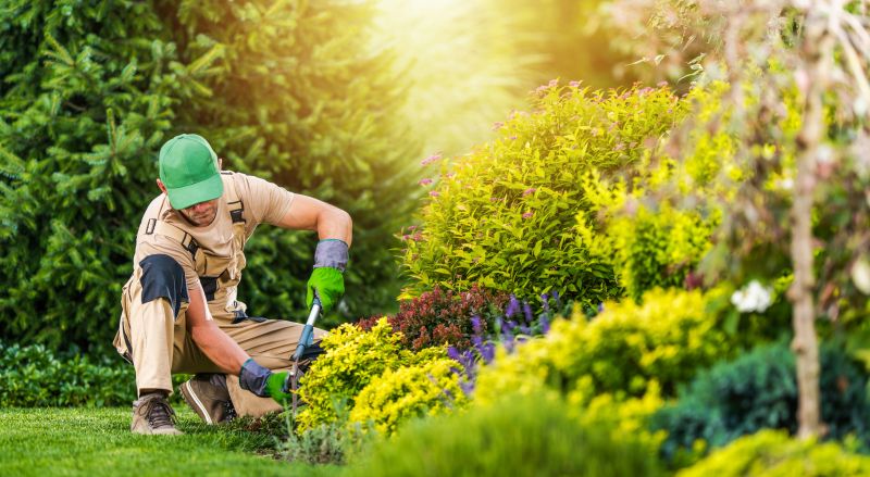 Perennial Landscaping in Ventura County, CA