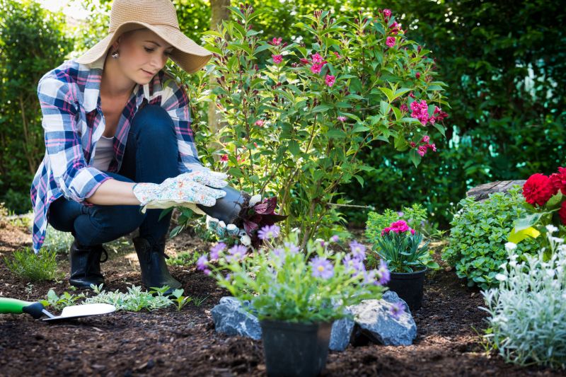 Perennials Planting in Honolulu, HI