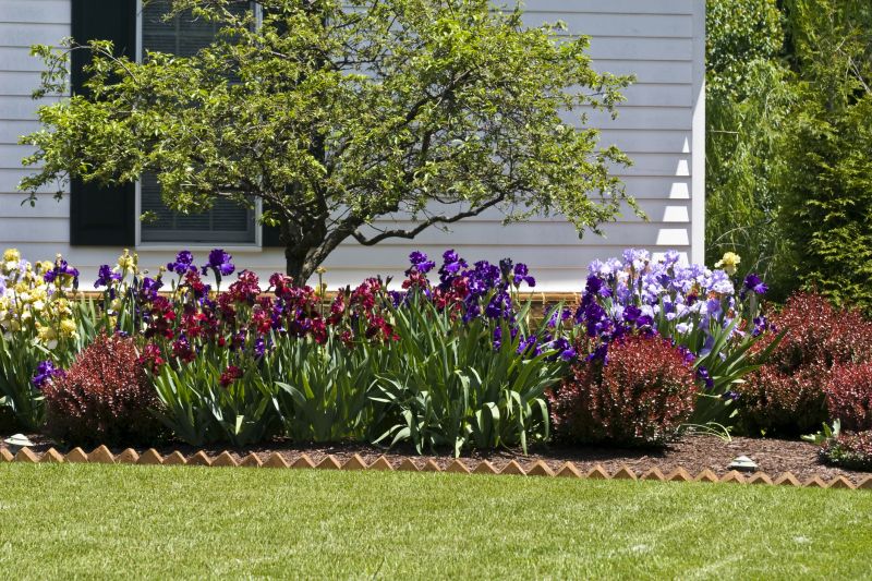 Plant Replacement in Ventura County, CA
